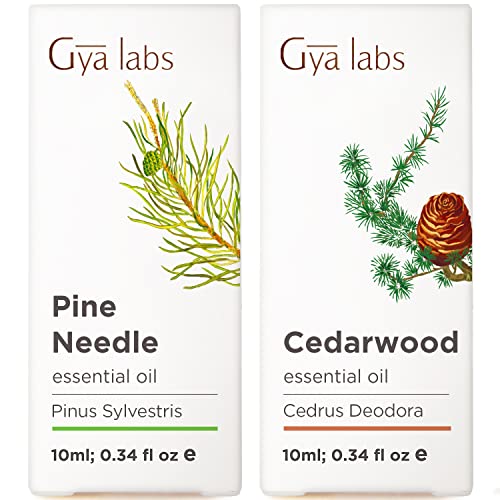Ulja borova za difuzor i ulje Cedarwood za set rasta kose - čisti terapeutski stupanj esencijalne ulja - 2x10ml - GYA laboratoriji