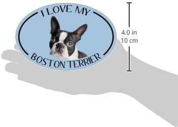 Zamislite ovaj ovalni magnet, volim svog Bostonskog terijera