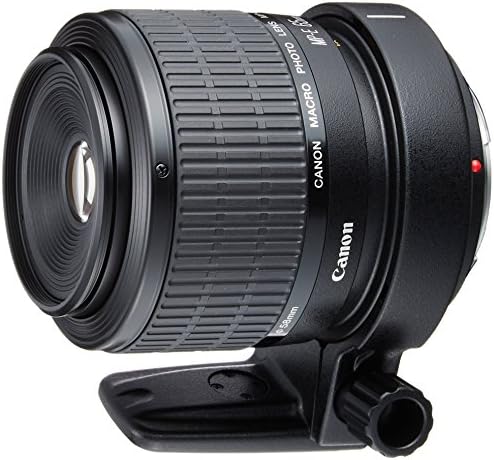 Makro objektiv s jednim fokusom kanona MP-E65mm F2.8 1-5X Makro fotografija u punoj veličini odgovara