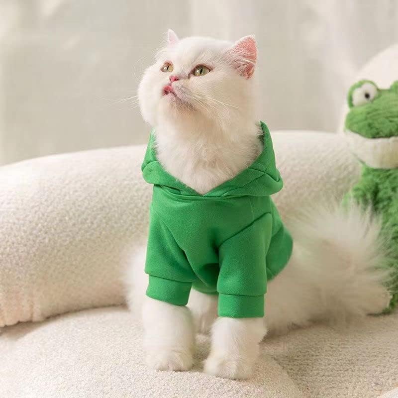 Richcatty Little Tyrant Dinosaur Hoodies Smiješno kostim za mačke i štene cosplay odjeću za kućne ljubimce meka pletiva
