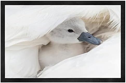 Eruxugb najslađe dječje životinje | Baby Mute Swan Crna guma Netkani podna prostirka （60 × 40 cm