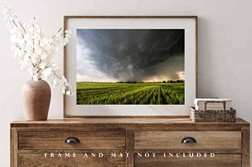 Storm Fotografija Print Slika tornada koji se pojavljuje na kiši preko pšeničnog polja na proljetni dan u Kansas grmljavinsku oluju