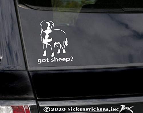Imate ovce? ~ Border Collie vinil prozor automatska naljepnica naljepnica