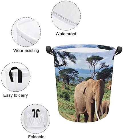 Foduoduo košarica za pranje rublja slonov rublje rublja s ručkama preklopljiva vreća za odlaganje prljave odjeće za spavaću sobu, kupaonicu,
