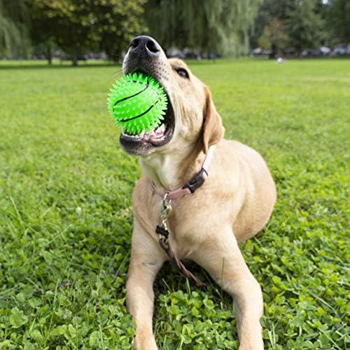 Gnawsome 3,5 ”Squeak & Light Basketball Dog igračka - srednje, čisti zube i promiče zdravlje zuba i guma za vašeg ljubimca, boje će