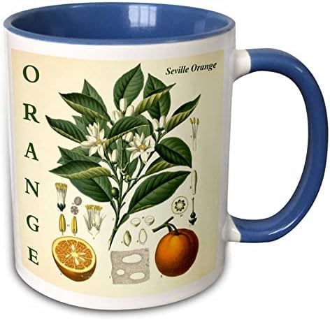 3Drose Orange kuhinjska umjetnost - Citrus voćni stablo Listovi cvjetovi Biljni tisak - Šalice
