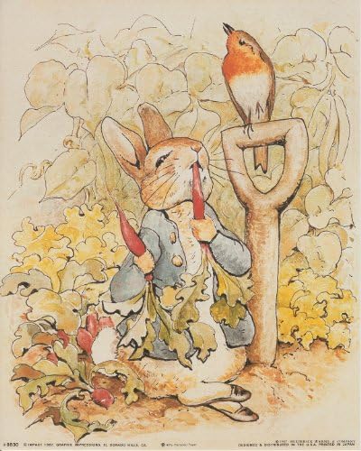 Priča o Peteru Rabbit Beatrix Potter Originalni i ovlašteni plakat za ispis umjetničkog tiska
