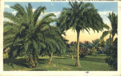 Razglednica Florida Garden, Florida
