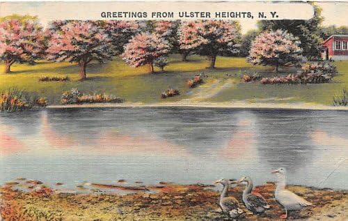 Ulster Heights, njujorška razglednica