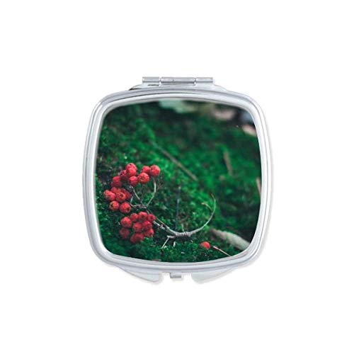 Crveno voće šumarstvo znanost priroda Priroda ogledala prijenosna kompaktna džepna šminka dvostrana staklo