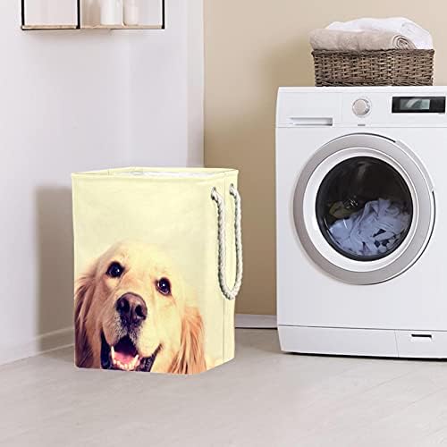 Pas Zlatni retriver velike košare za rublje torba za odlaganje prljave tkanine košare s ručkama sklopive kutije za odlaganje