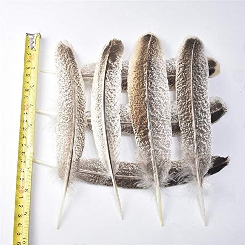 Zamihalla prirodno orlovsko perje za rukotvorine 10pcs-50pcs-100pcs/lot 20-25 cm-8-10 inča pribor za nakit perje