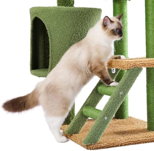 Kula na mačjem drvetu za kućne mačke / mačji stan s visećom mrežom i ljestvama na mačjem drvetu od pustinjskog Kaktusa, postoljem za