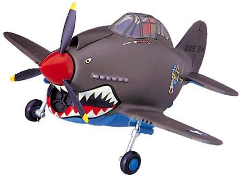 Hasegawa Ravnina jaja P-40 Warhawk Model Kit