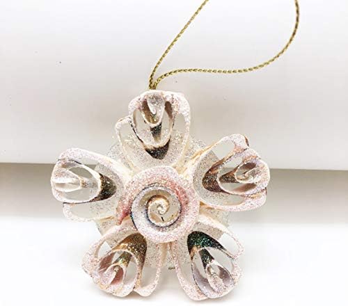 Pepperlonely morska školjka cvijet božićni centar izrezan ukras Strombus, 3 inča
