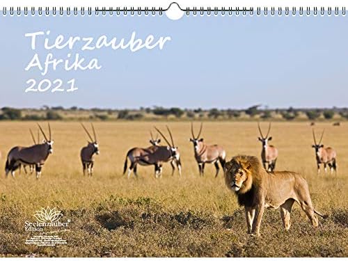 Tierzauber Afrika DIN A3 Kalendar za 2021. Različite životinje iz Afrike - Poklon set Sadržaj: 1x kalendar, 1x božićna karta