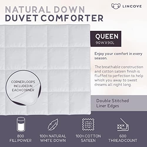 Lincove Cloud Pillow Move -In Bundle - Queen Soft