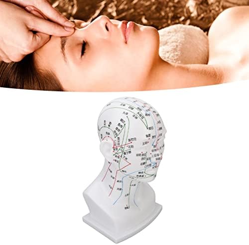 Model glave meridijana, PVC ukras, model akupunkturne točke za trening glave za salon za masažu za početnike